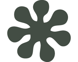 Iconografia Cuarto Crescente Brilho