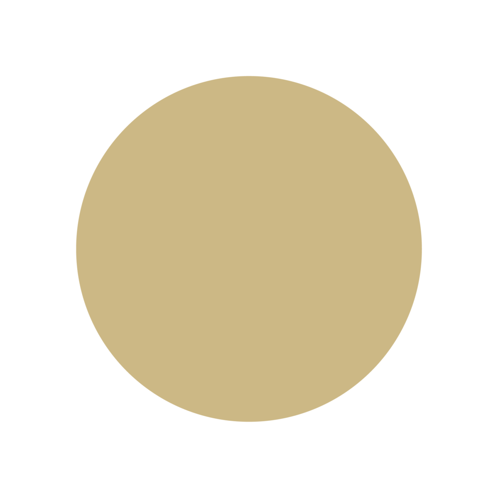 CuartoCrescente-IdentidadeMarca-Iconografia-lua-Nova
