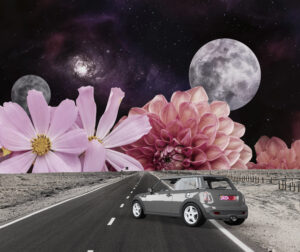 astrologia cuarto crescente